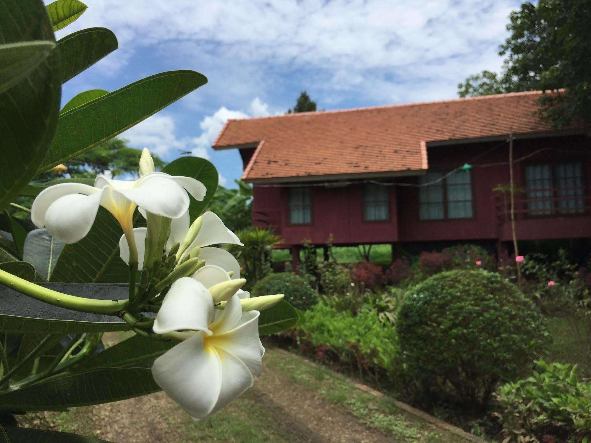 Chiangmai Royal Creek Hotel Ханг-Донг Экстерьер фото